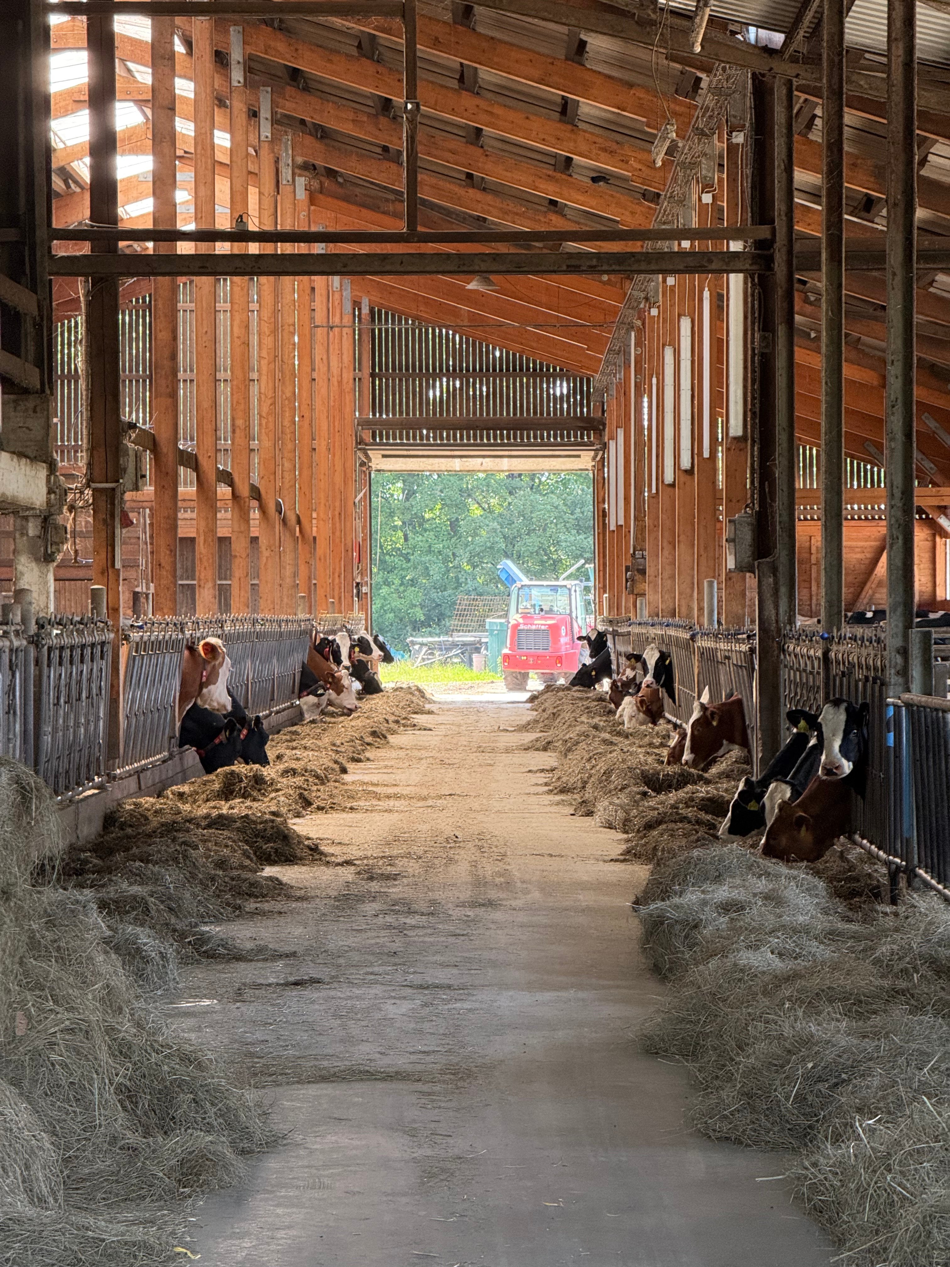 Albstark Joghurt Herstellung